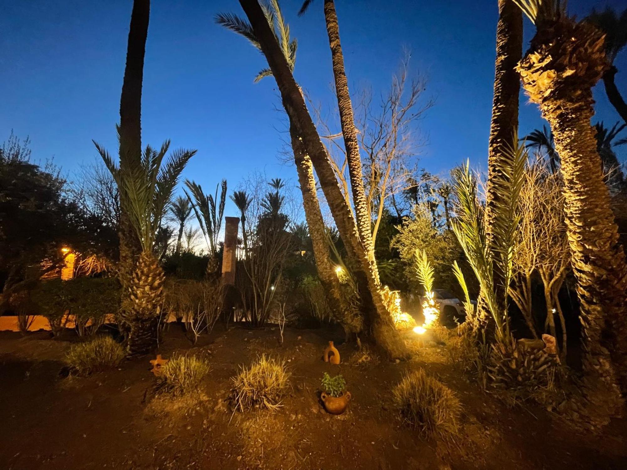 Au Temps Des Fleurs - Marrakech Appartamento *
